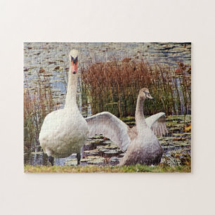 Schwanenmutter und -baby Wildtier süß Puzzle