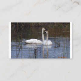 Schwanenpartei Begleitkarte