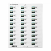 Schwanenschwäne (Vorne)