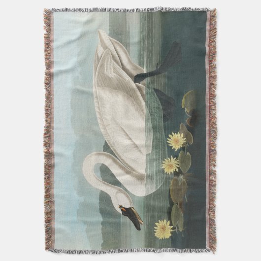 Schwanenschwäne Decke (Vorderseite Vertikal)