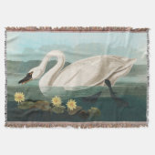 Schwanenschwäne Decke (Vorderseite)