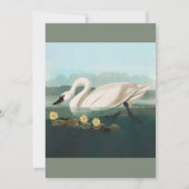 Schwanenschwäne Einladung (Rückseite)