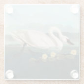 Schwanenschwäne Glasuntersetzer (Rückseite)