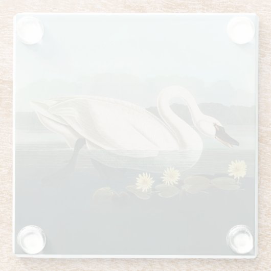 Schwanenschwäne Glasuntersetzer (Rückseite)