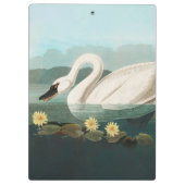 Schwanenschwäne Klemmbrett (Rückseite)