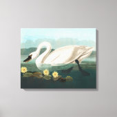 Schwanenschwäne Leinwanddruck (Vorderseite)