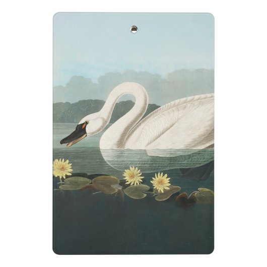 Schwanenschwäne Mini Klemmbrett (Rückseite)
