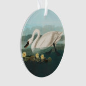 Schwanenschwäne Ornament (Vorderseite)