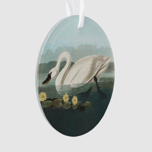 Schwanenschwäne Ornament (Vorderseite)