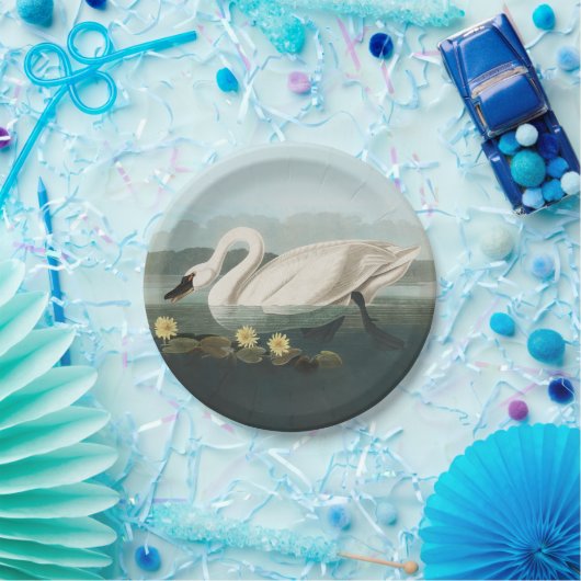 Schwanenschwäne Pappteller (Party)