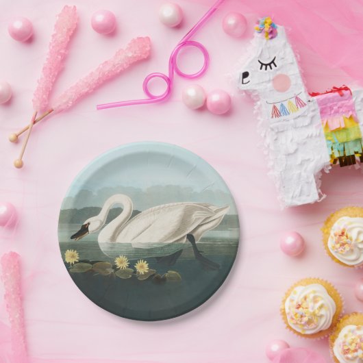 Schwanenschwäne Pappteller (Party)