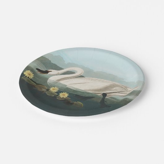 Schwanenschwäne Pappteller (Schrägansicht)