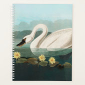 Schwanenschwäne Planer (Vorderseite)