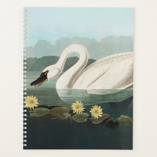 Schwanenschwäne Planer (Vorderseite)