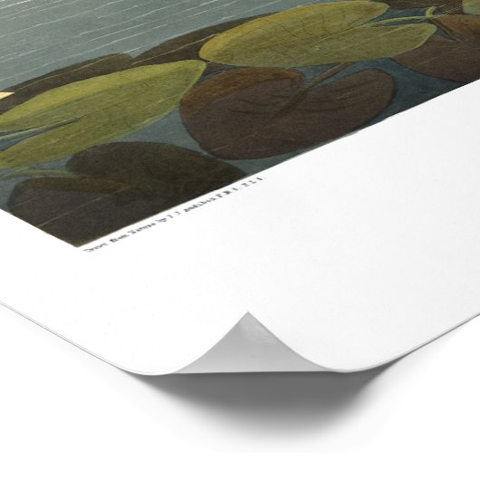 Schwanenschwäne Poster (Ecke)