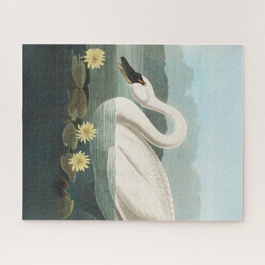 Schwanenschwäne Puzzle (Horizontal)