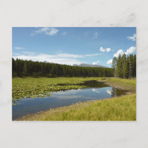 Schwanensee I im Grand Teton National Park Postkarte