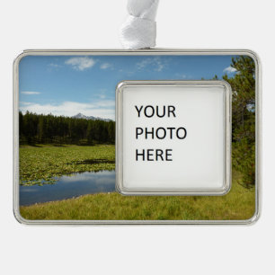 Schwanensee I im Grand Teton National Park Rahmen-Ornament Silber