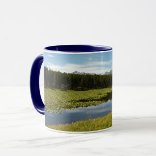 Schwanensee I im Grand Teton National Park Tasse