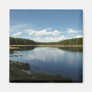 Schwanensee II im Grand Teton National Park Magnet