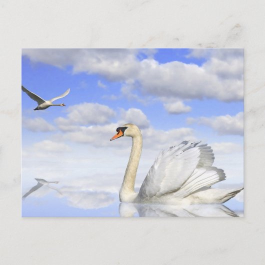 Schwanensee Postkarte (Vorderseite)