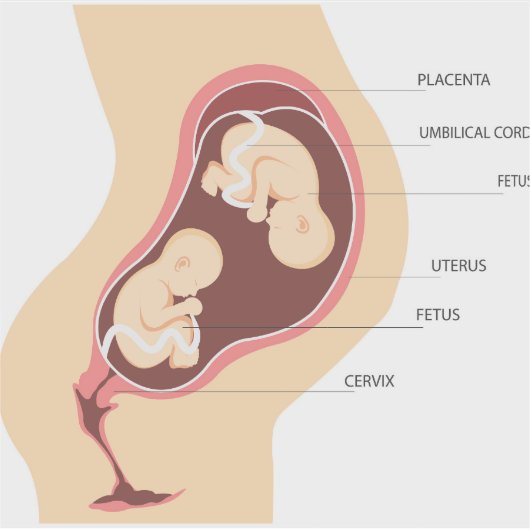 Schwangere Aufkleber (Vorderseite)