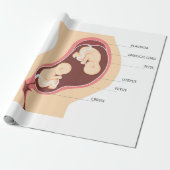 Schwangere Geschenkpapier (Ungerollt)