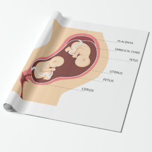 Schwangere Geschenkpapier