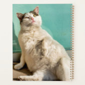 Schwangere Katze  Planer (Rückseite)