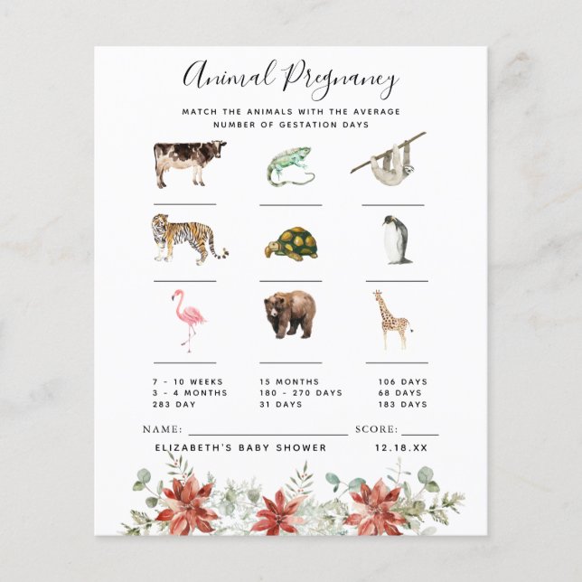 Schwangerschaft | Baby Showspiel (Vorderseite)