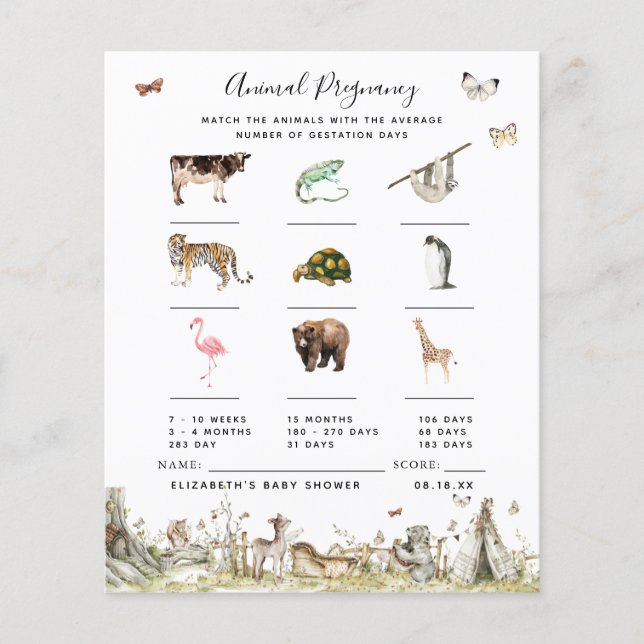 Schwangerschaft | Baby Showspiel (Vorderseite)