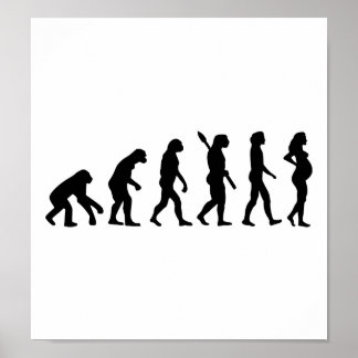 Schwangerschaft Evolution Poster