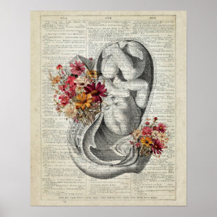 Schwangerschaft OB/GYN Wall Art Poster