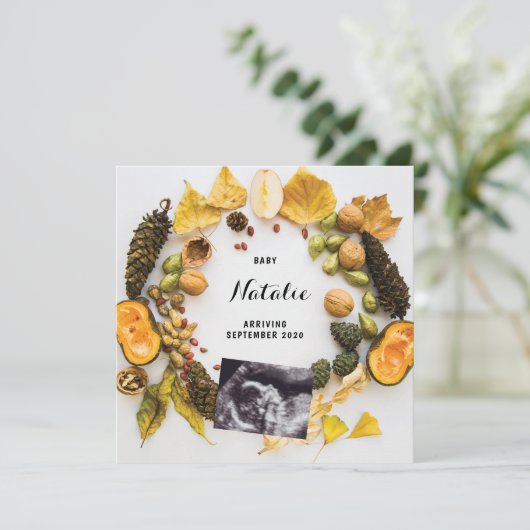 Schwangerschaftsankündigung Pumpkin Herbst Herbstb Ankündigung (Stehend Vorderseite)