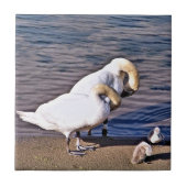 SCHWANKEN FLIESE (Vorderseite)