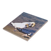 SCHWANKEN FLIESE (Seite)