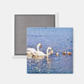 SCHWANKEN MAGNET (Vorderseite/Rückseite)