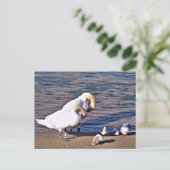 SCHWANKEN POSTKARTE (Stehend Vorderseite)