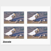 SCHWANKEN RECHTECKIGER AUFKLEBER (Blatt)