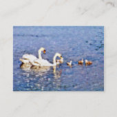 SCHWANKEN VISITENKARTE (Vorderseite)