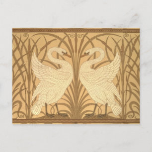 Schwantapetenentwurf Postkarte