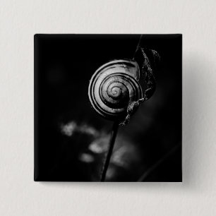 Schwanz Button