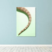 Schwanz des barteten Drachen Leinwanddruck (Insitu (Holzboden))