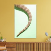 Schwanz des barteten Drachen Leinwanddruck (Insitu (Wohnzimmer))