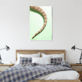 Schwanz des barteten Drachen Leinwanddruck (Insitu (Schlafzimmer))