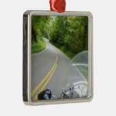 Schwanz des Drachen Ornament Aus Metall (Rechts)