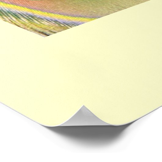 Schwanz Feathers Poster (Ecke)