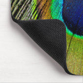 Schwanz-Federn für männliche Pfau Mousepad (Ecke)