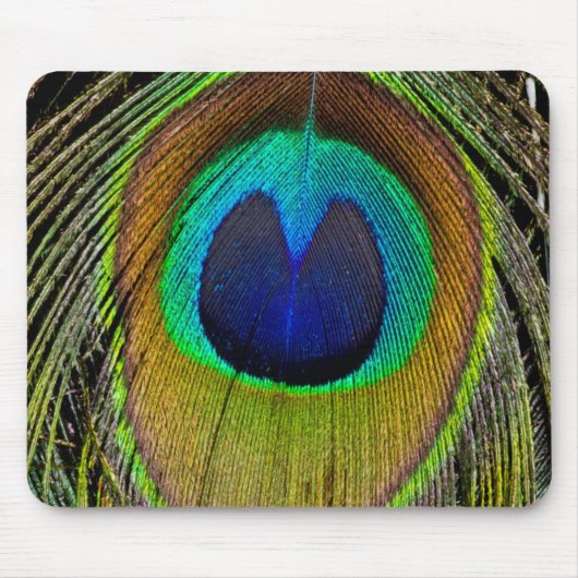 Schwanz-Federn für männliche Pfau Mousepad (Vorne)