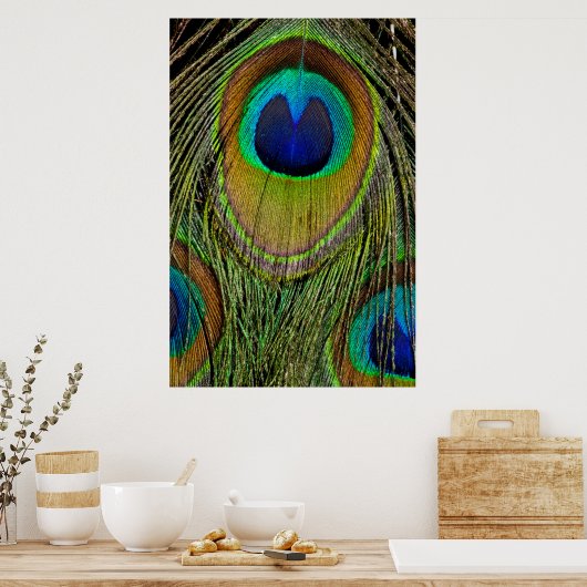 Schwanz-Federn für männliche Pfau Poster (Küche)